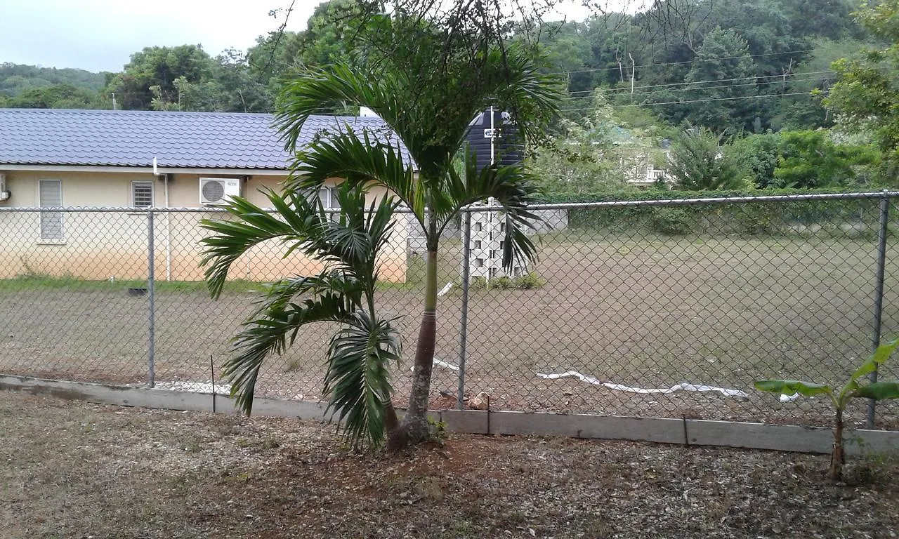 Hotel Rosevale Estate 419 Montego Bay 0*,  Jamajka